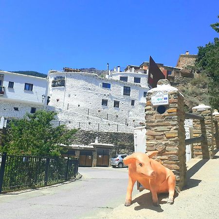 La Casa De La Bombilla Verde Trevélez Dış mekan fotoğraf