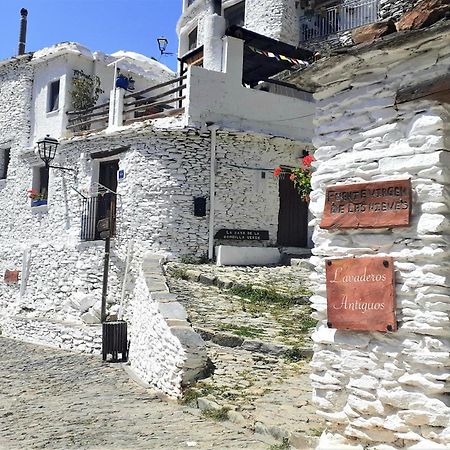 La Casa De La Bombilla Verde Trevélez Dış mekan fotoğraf