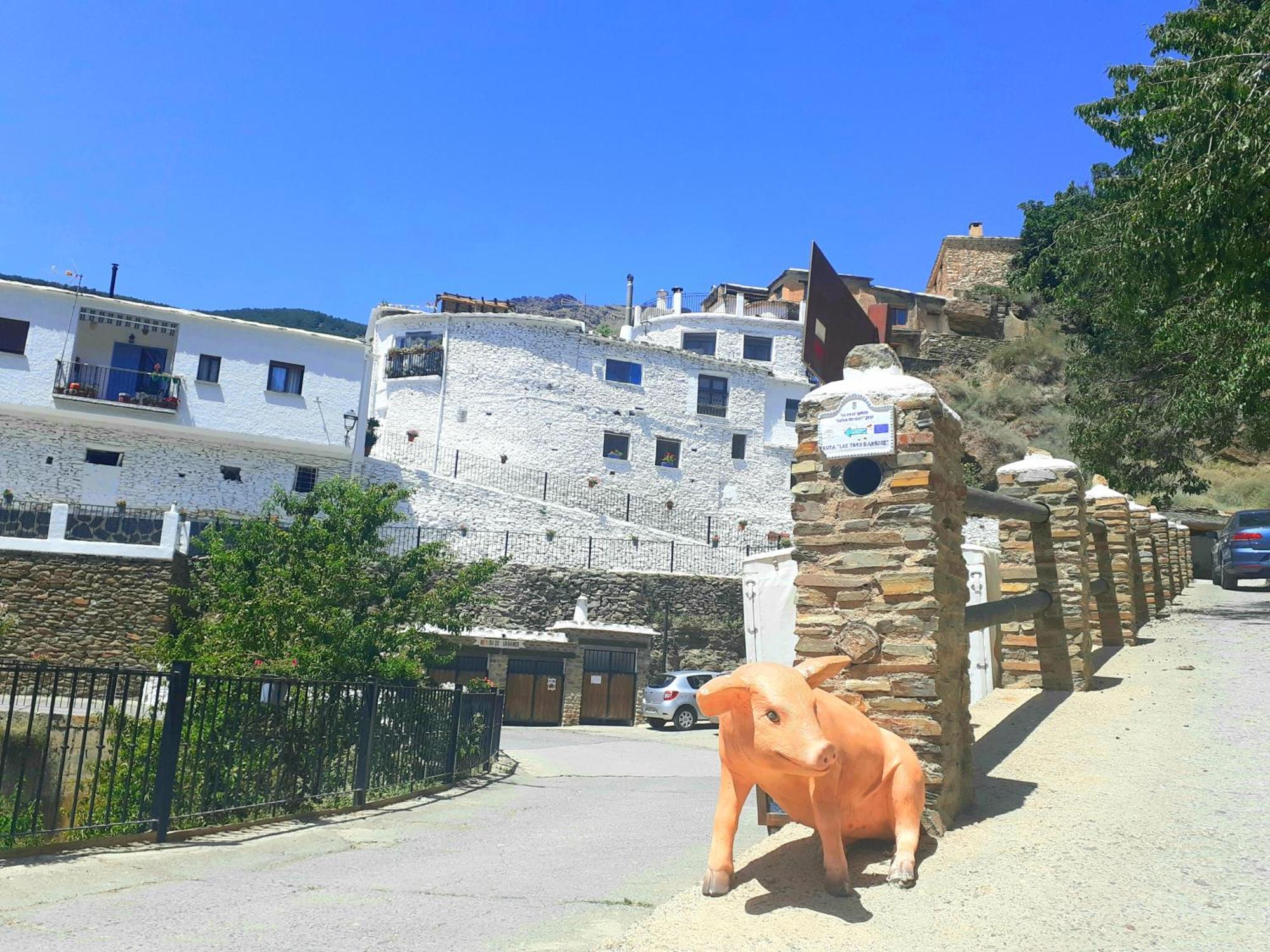 La Casa De La Bombilla Verde Trevélez Dış mekan fotoğraf