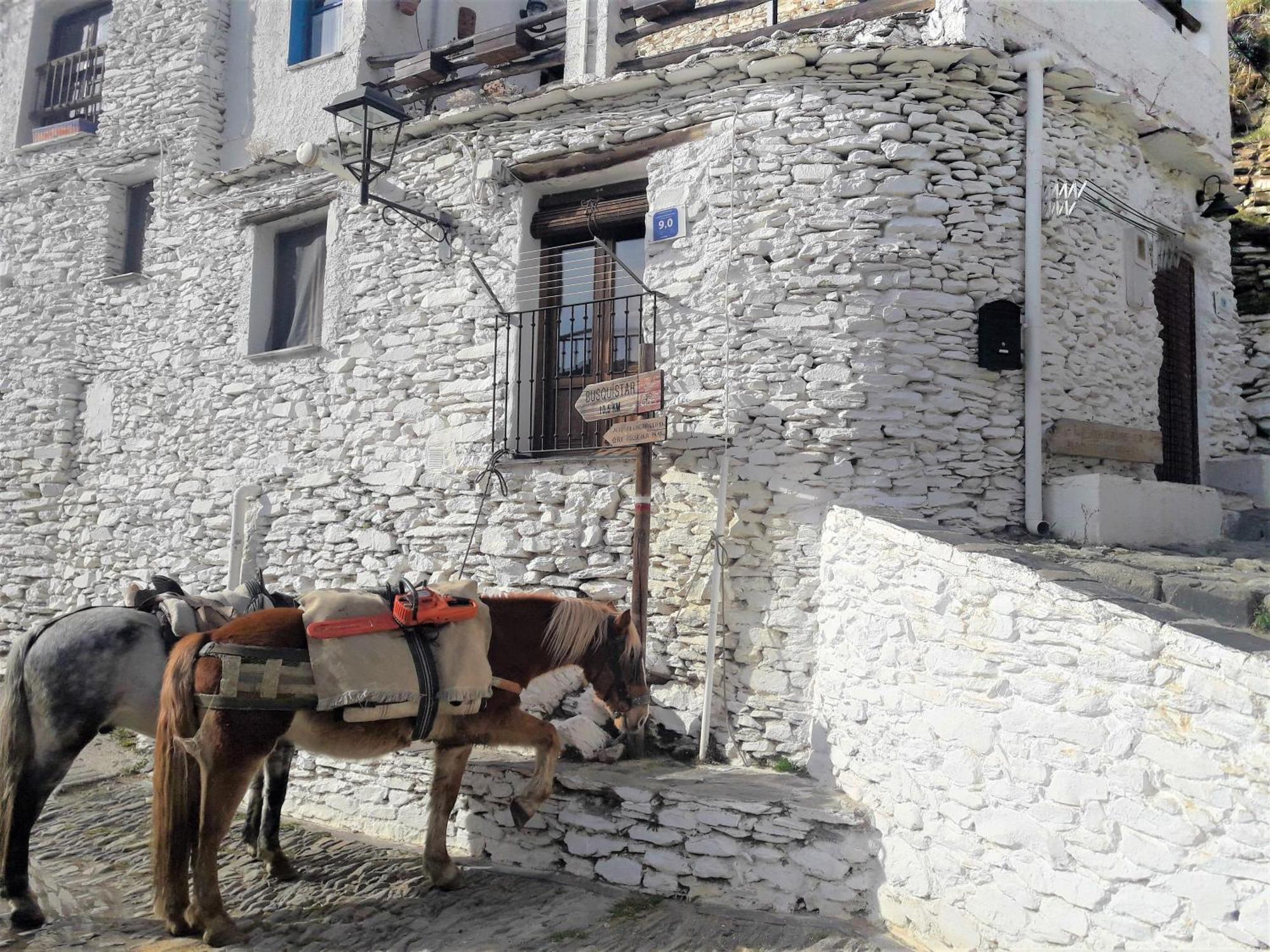 La Casa De La Bombilla Verde Trevélez Dış mekan fotoğraf