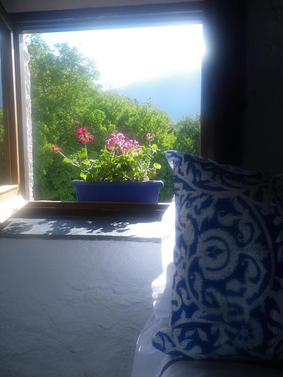 La Casa De La Bombilla Verde Trevélez Oda fotoğraf
