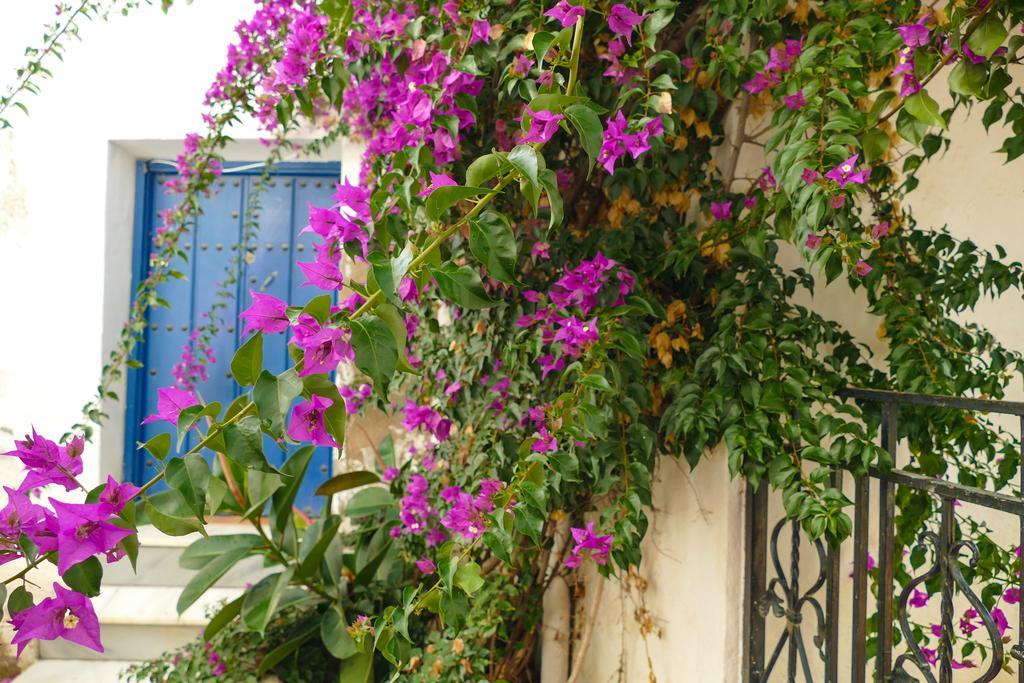 La Casa De La Bombilla Verde Trevélez Dış mekan fotoğraf