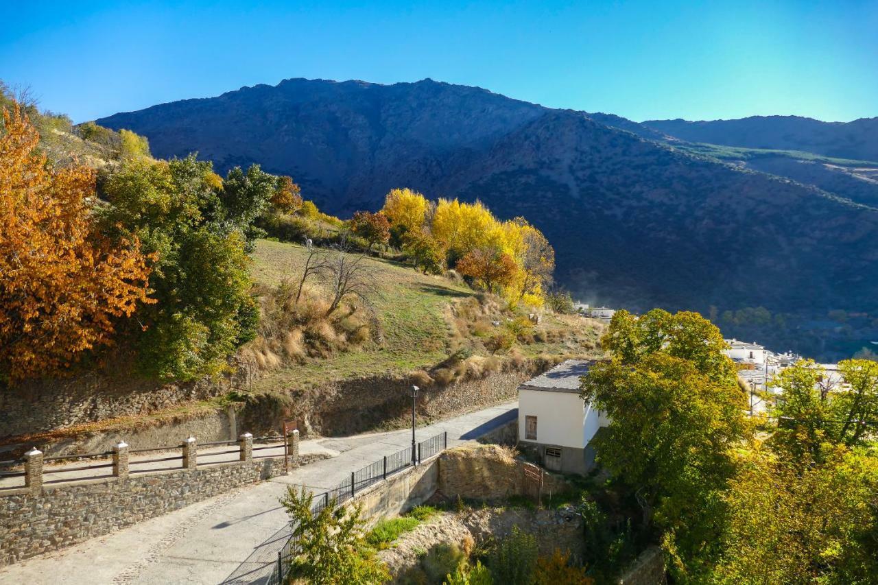 La Casa De La Bombilla Verde Trevélez Dış mekan fotoğraf