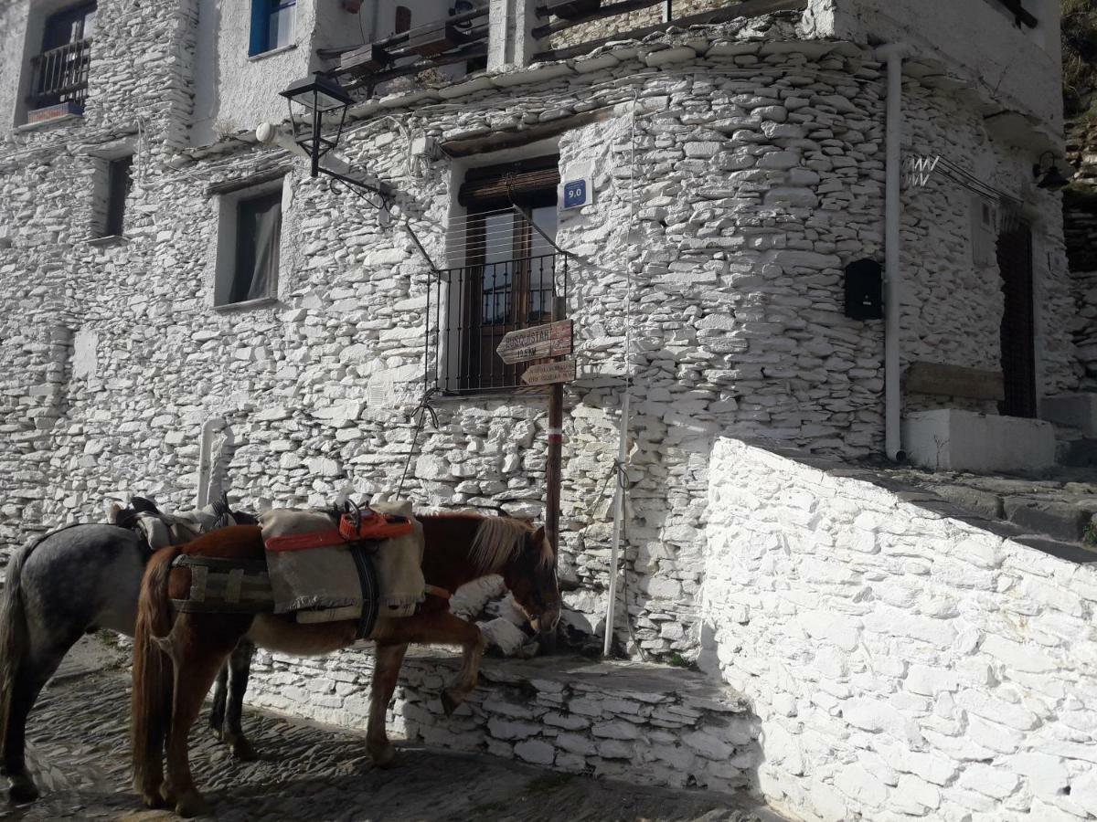 La Casa De La Bombilla Verde Trevélez Dış mekan fotoğraf