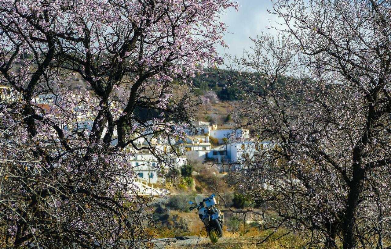 La Casa De La Bombilla Verde Trevélez Dış mekan fotoğraf